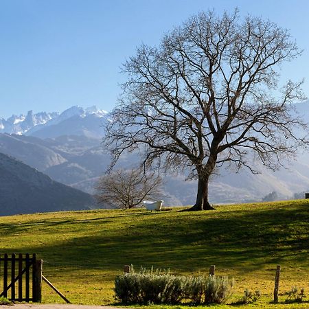 La Montana Magica Hotel Rural Vibano エクステリア 写真