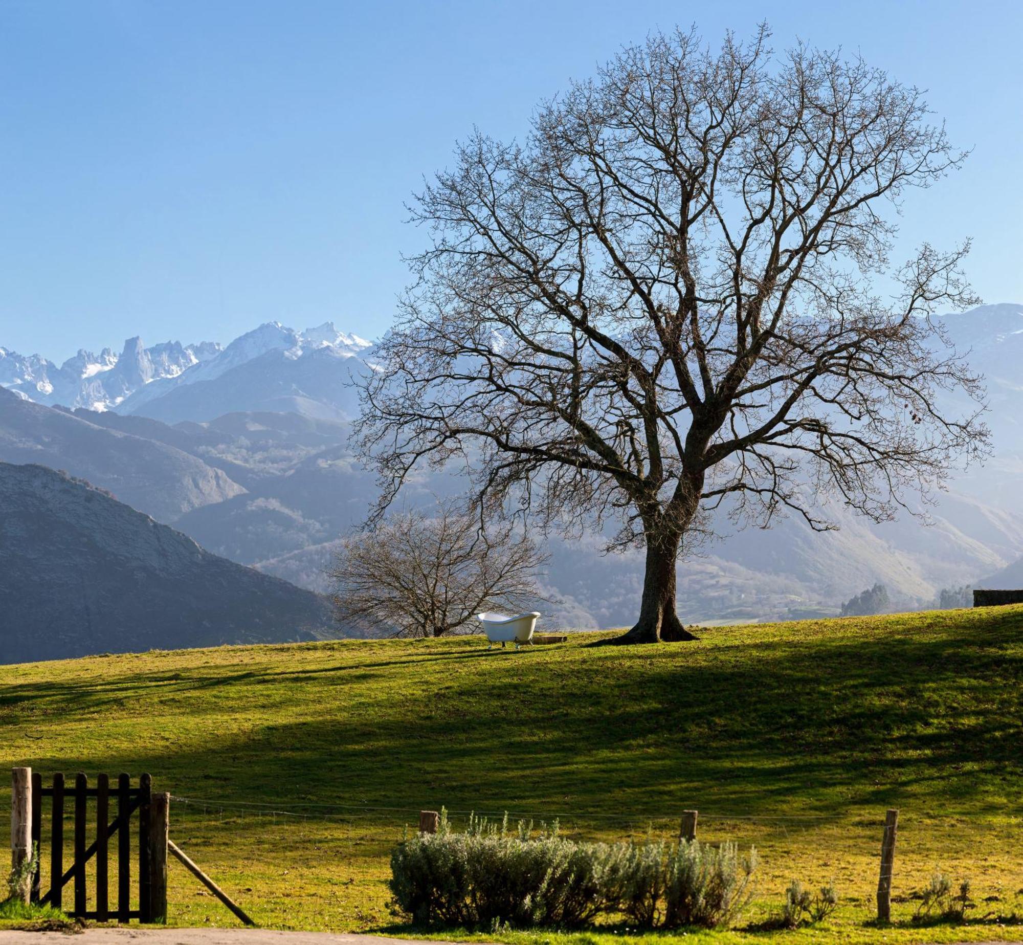 La Montana Magica Hotel Rural Vibano エクステリア 写真